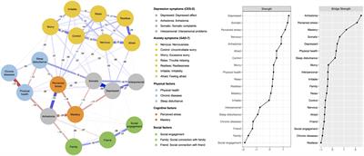 Mastery is central: an examination of complex interrelationships between physical health, stress and adaptive cognition, and social connection with depression and anxiety symptoms